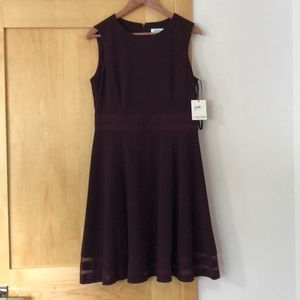 NWT, Calvin Klein Illusion-Trim Fit & Flare Dress